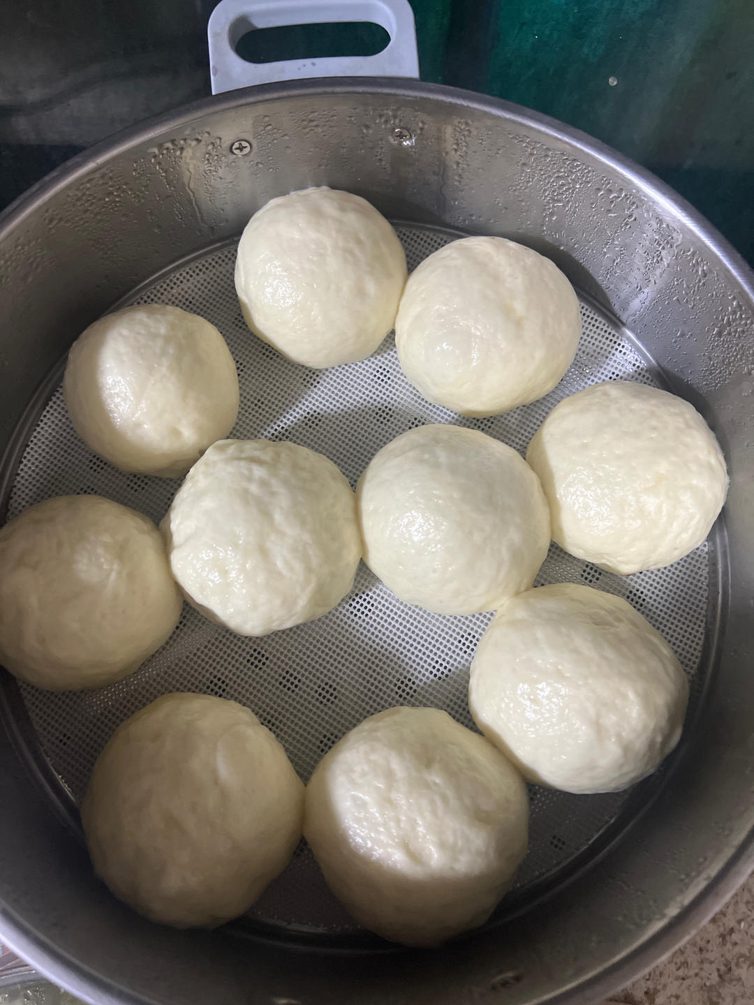 豆沙包（一次性发酵）