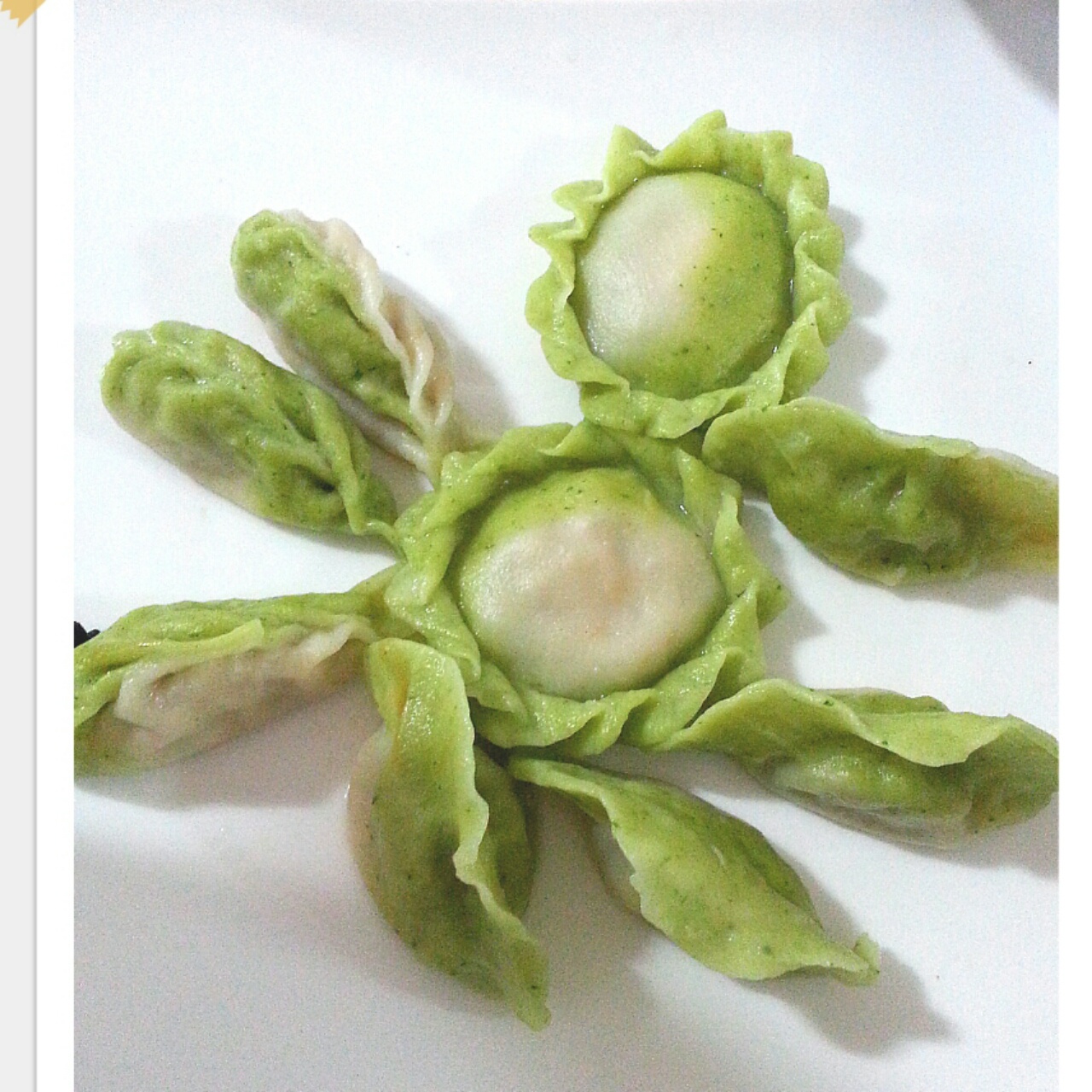 白菜水饺