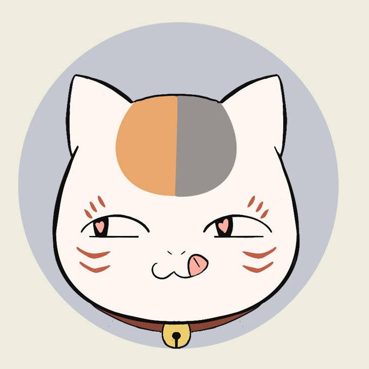 中年猫之星