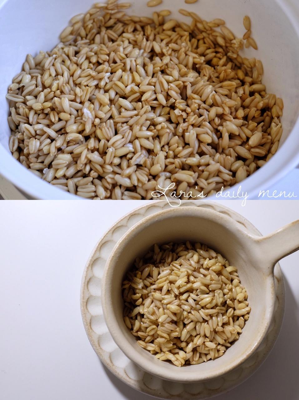 【健康三餐】发芽燕麦饭（粥）