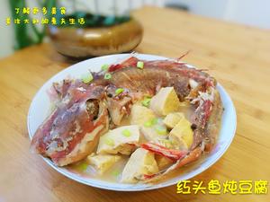 红头鱼炖豆腐的做法 步骤7