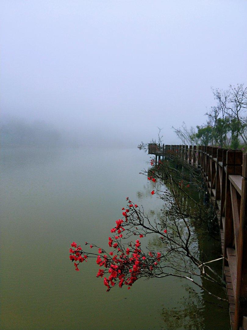 不言不语都是好风景