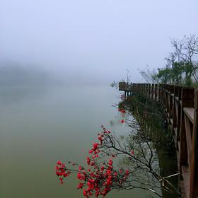 不言不语都是好风景