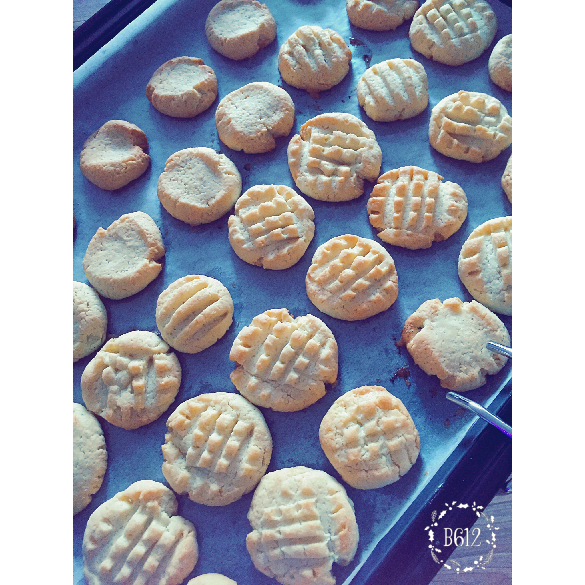 优雅烘焙 2015：家庭手工椰蓉曲奇