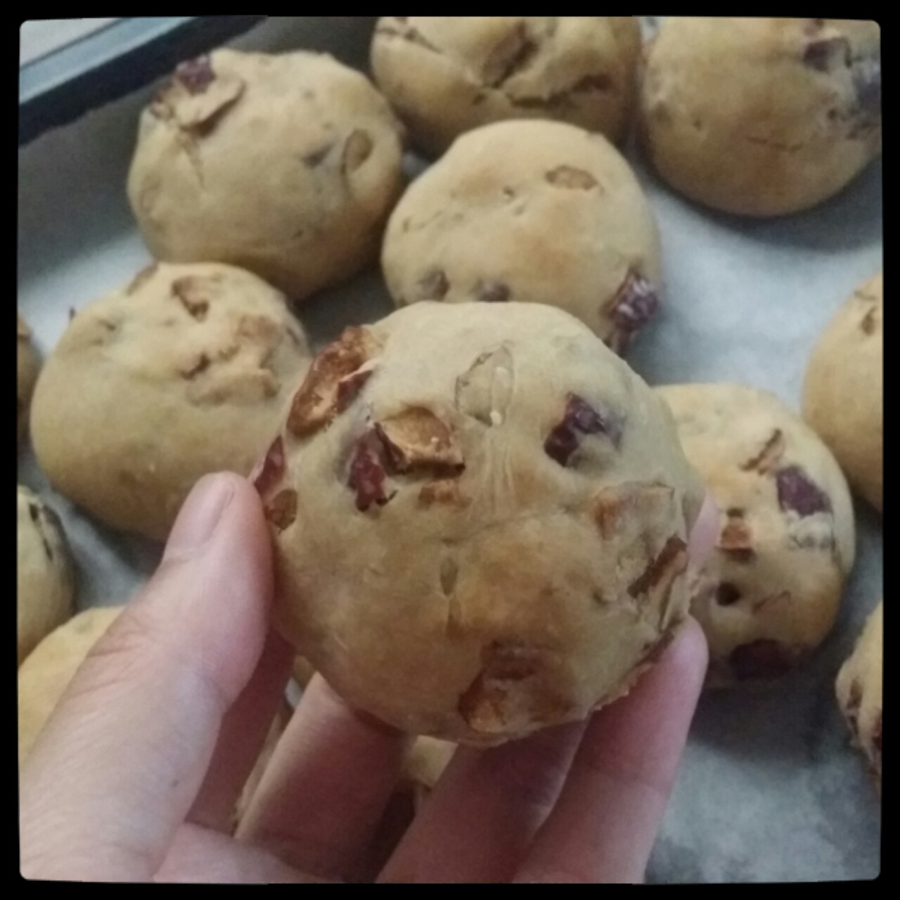 红糖红枣酸奶司康（超好味啊啊啊）