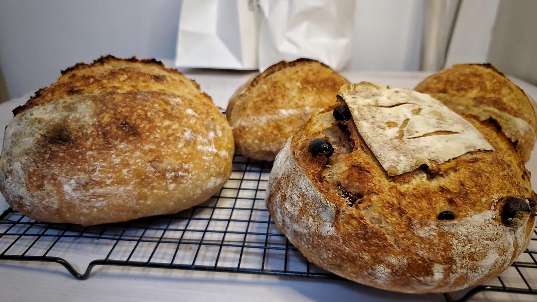 天然酵种培养记（小白记录用）（or鲁邦种）