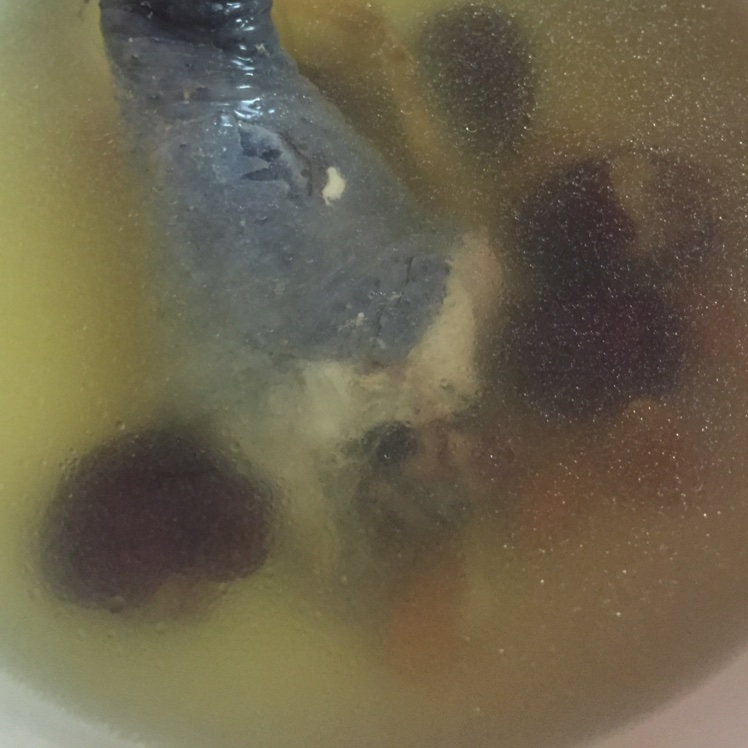 当归黄芪乌骨鸡汤