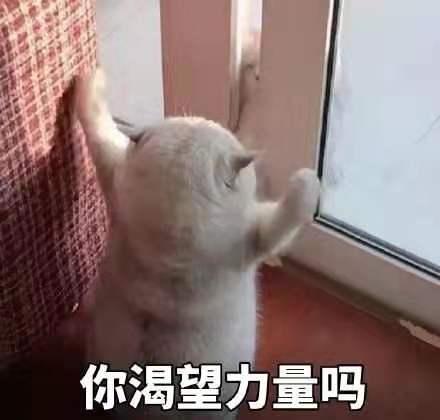 独家秘方炒鸡蛋！！