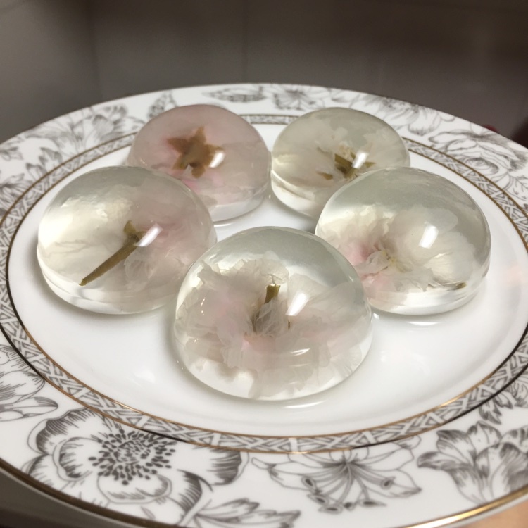 日本最温柔的梦幻和菓子 — 水信玄饼