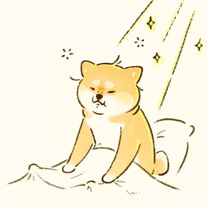 小忽发奋学做饭啦