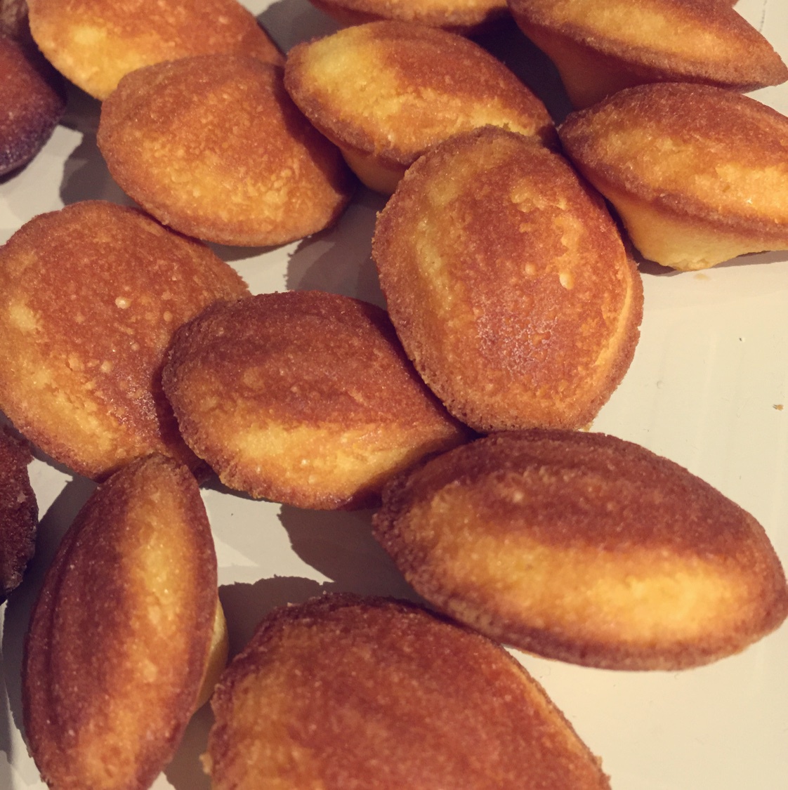 玛德琳（蓝带方）