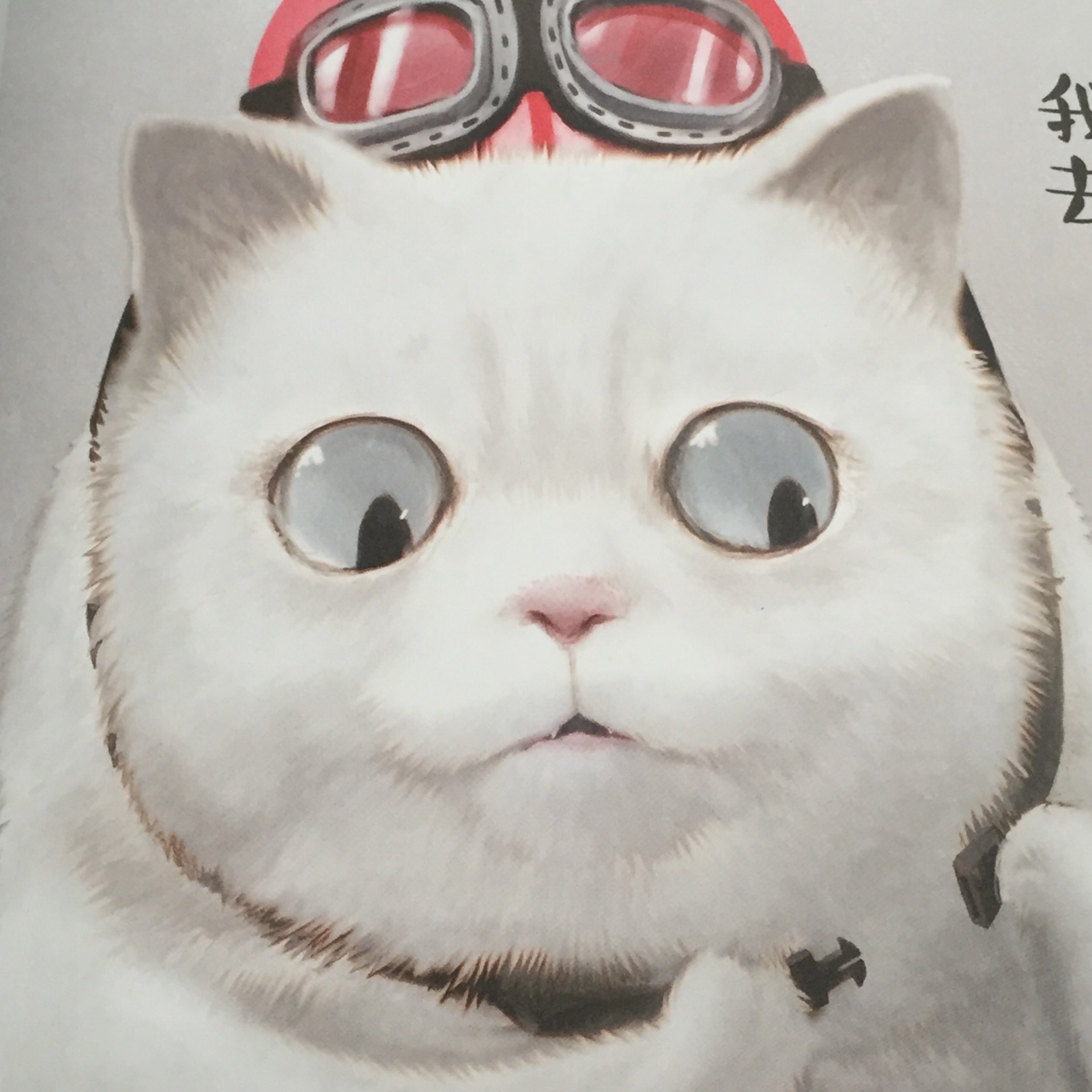 艾利狄