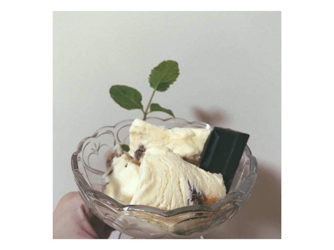 自制哈根达斯风味的冰淇淋