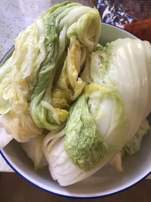 酸爽系：腌制辣白菜的做法 步骤1