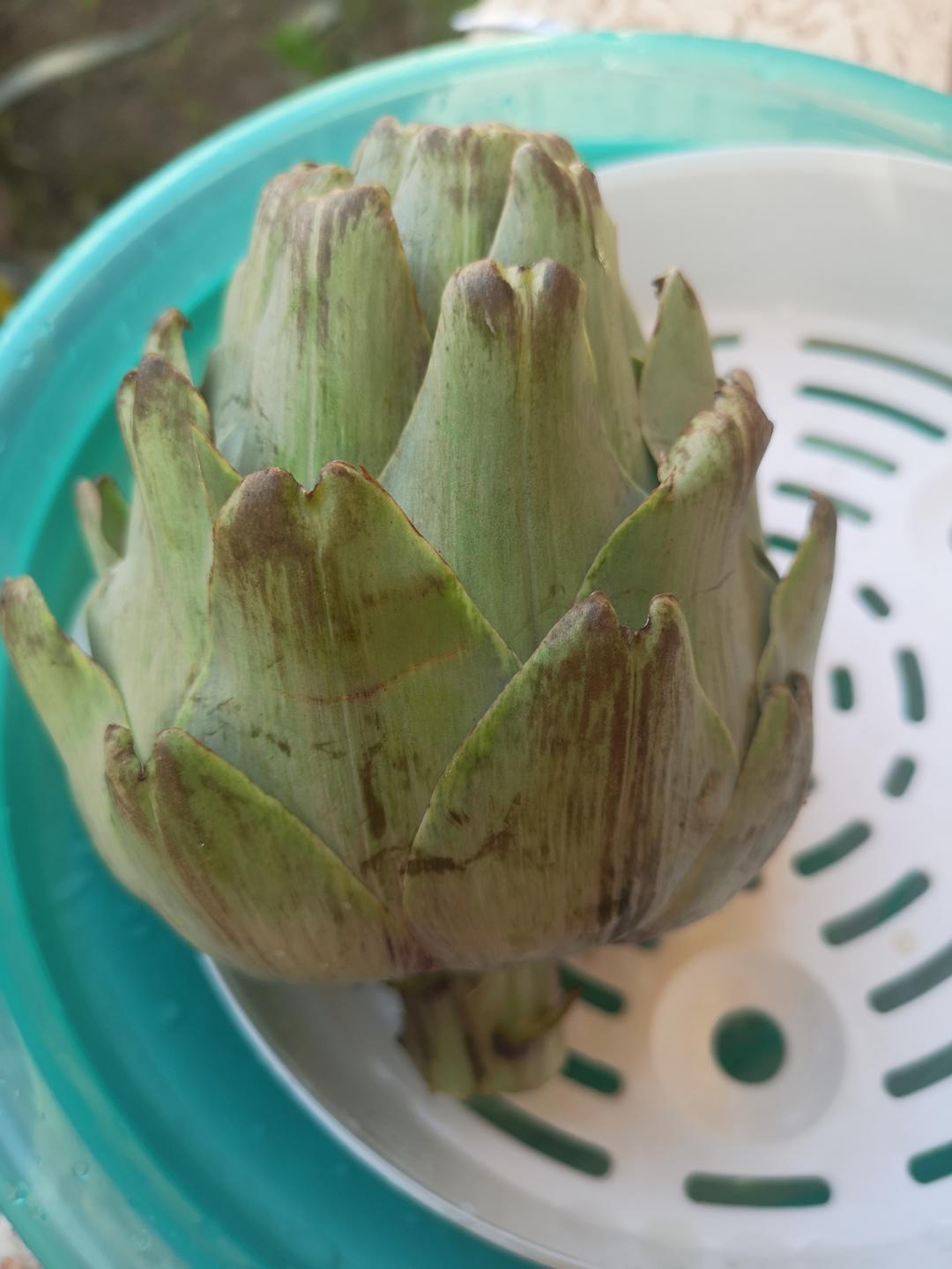 【曼食慢语】水煮洋蓟