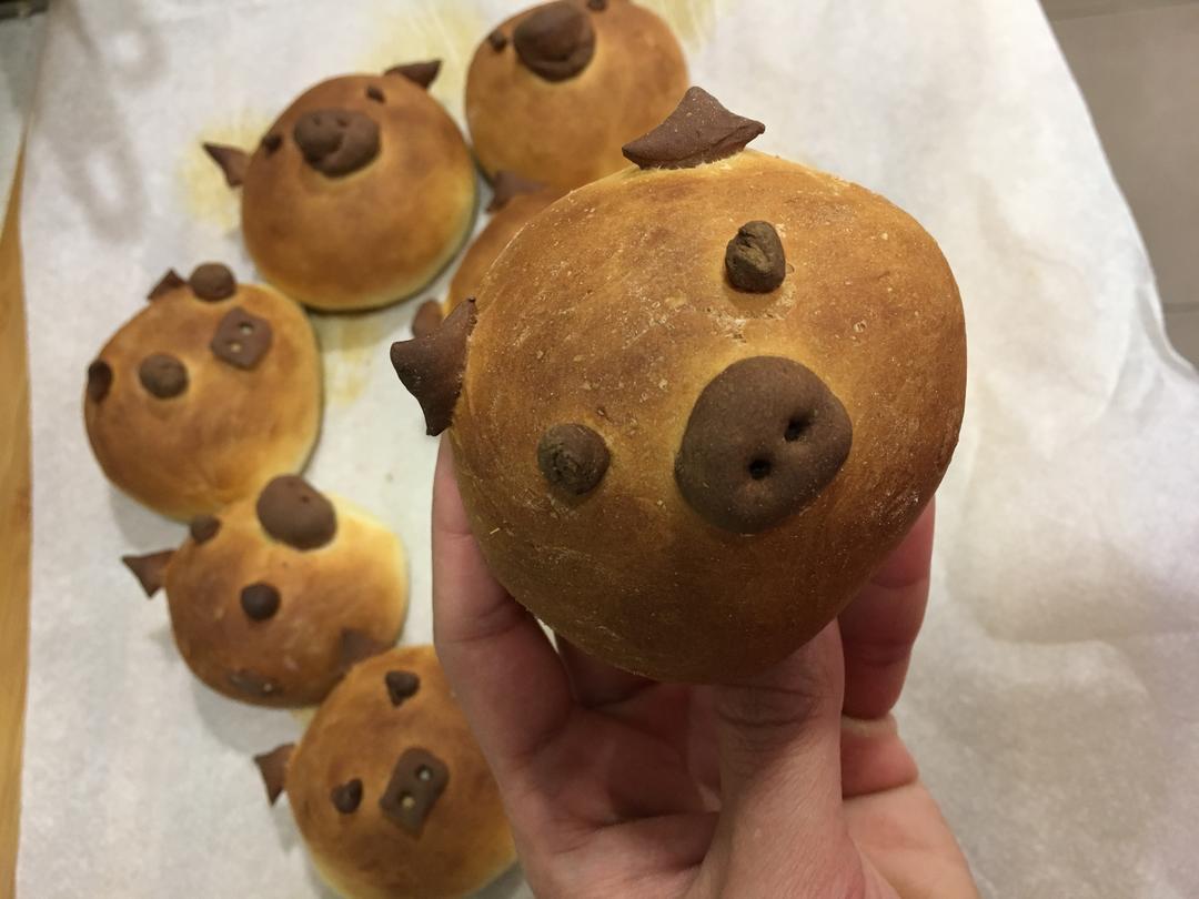 小猪纸杯面包