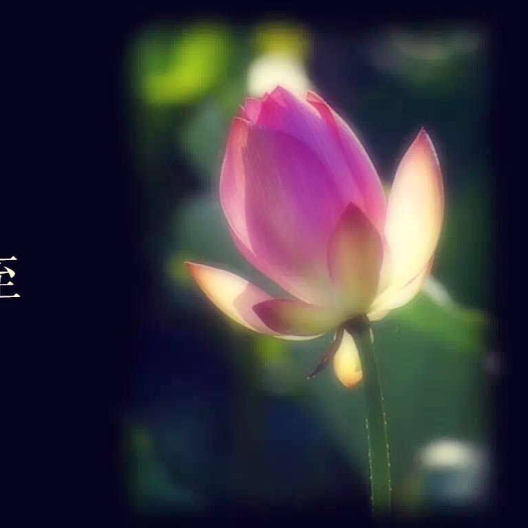 唯一的然然妈妈