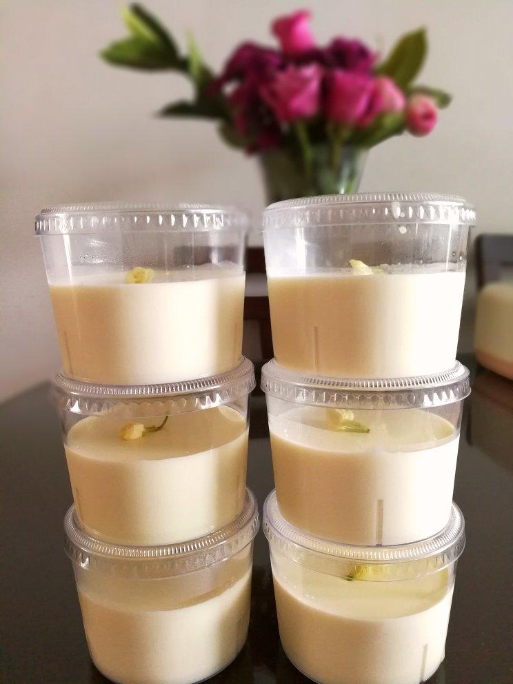 吃豆腐啦！——小嶋老师茉莉奶冻