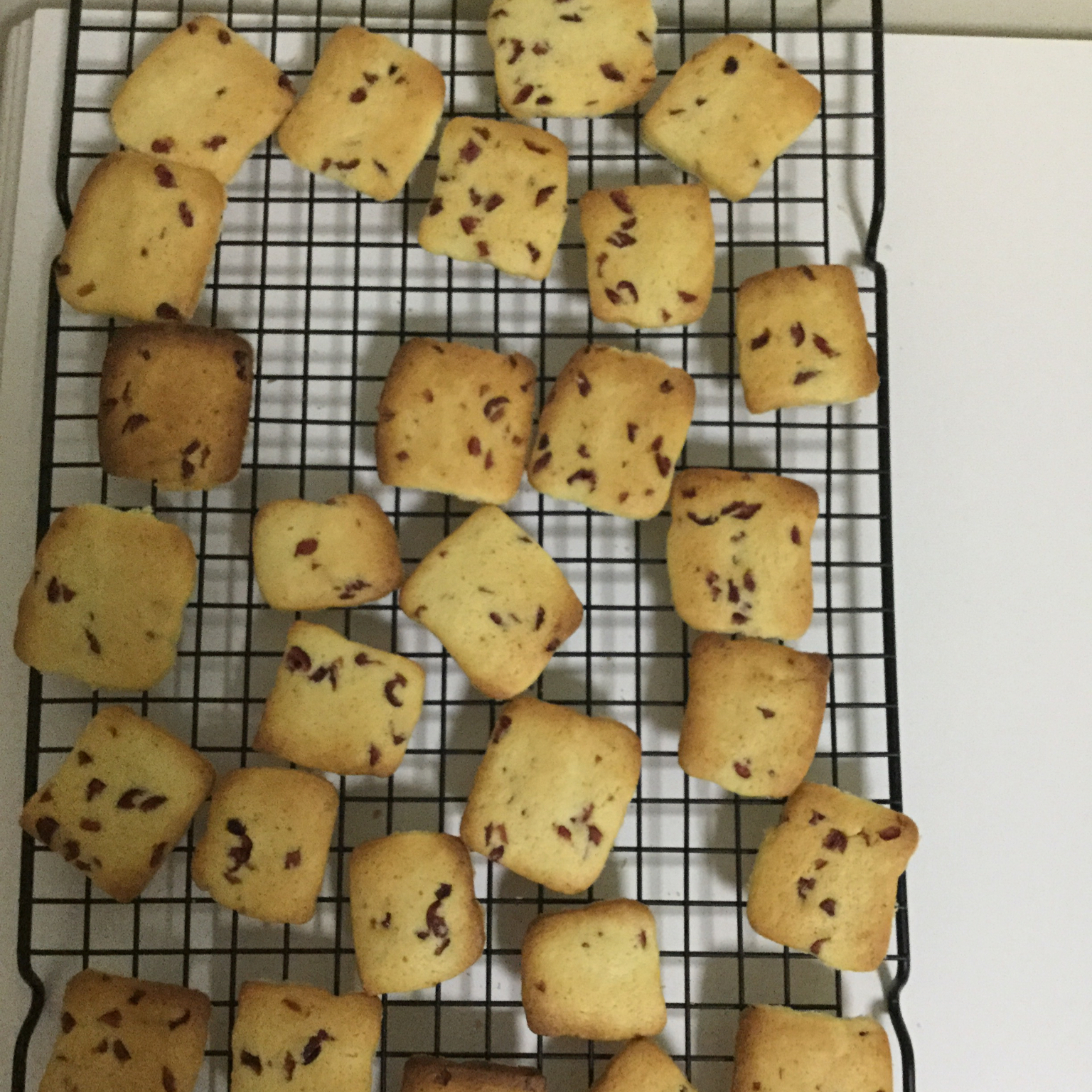 蔓越莓饼干--新手烘焙0压力 #皮黑森林#