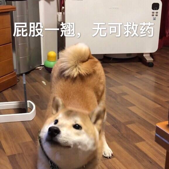 在吃的路上胖走胖远