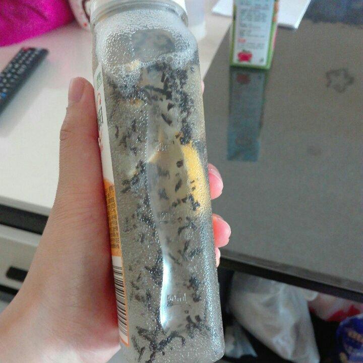 关于冷泡茶的一二三