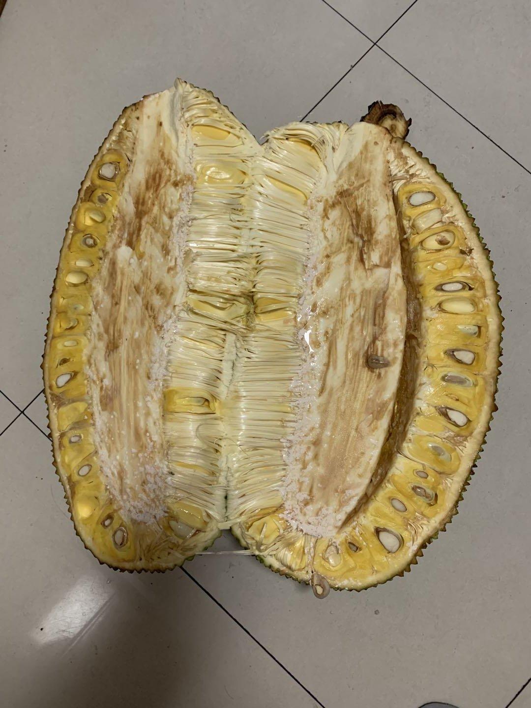 菠萝蜜的剥法