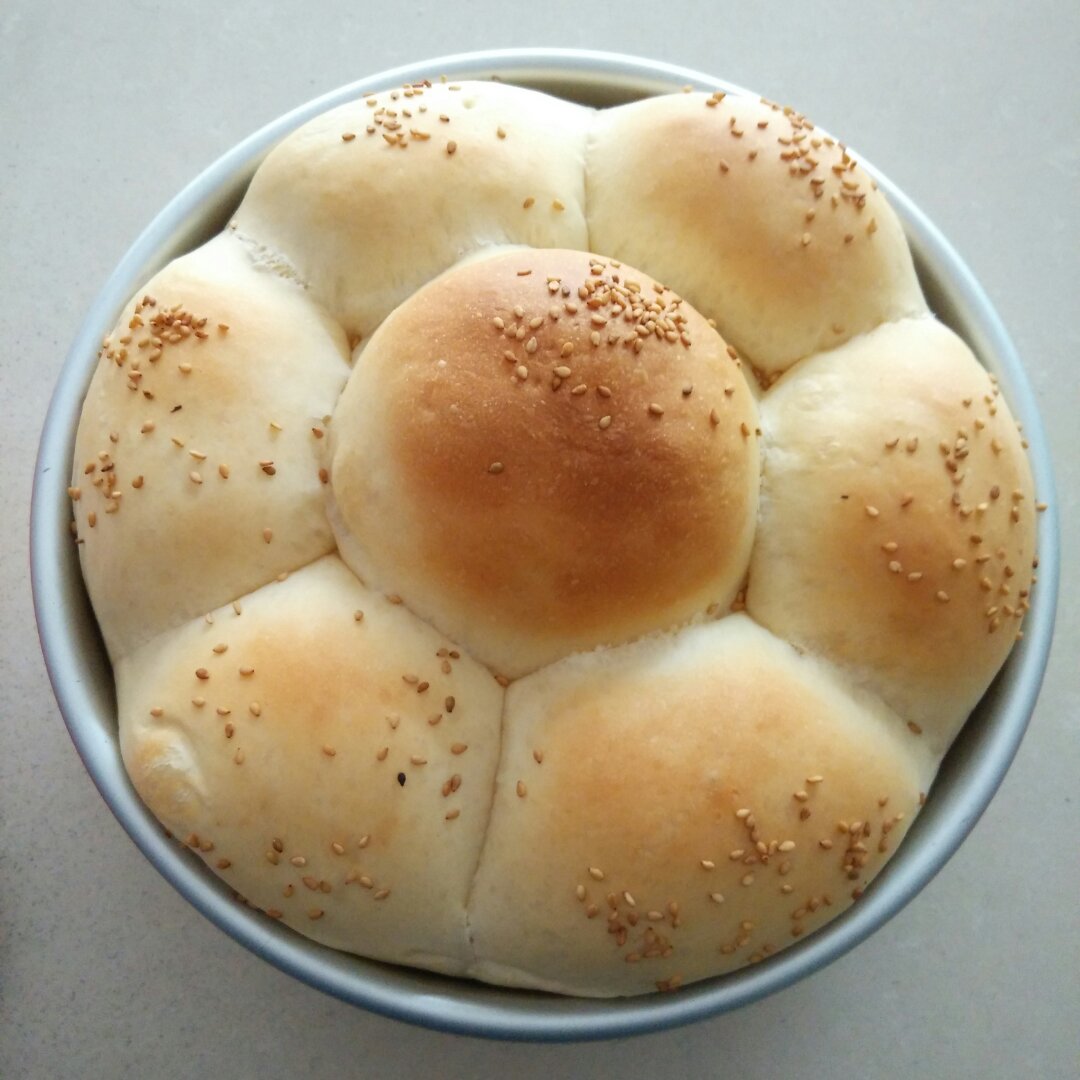 夺命软吐司(๑´ڡ`๑)超软拉丝极速方便的一次发酵吐司