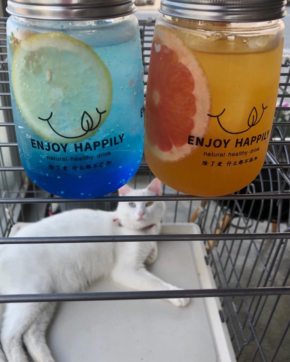我们的店铺产品合集