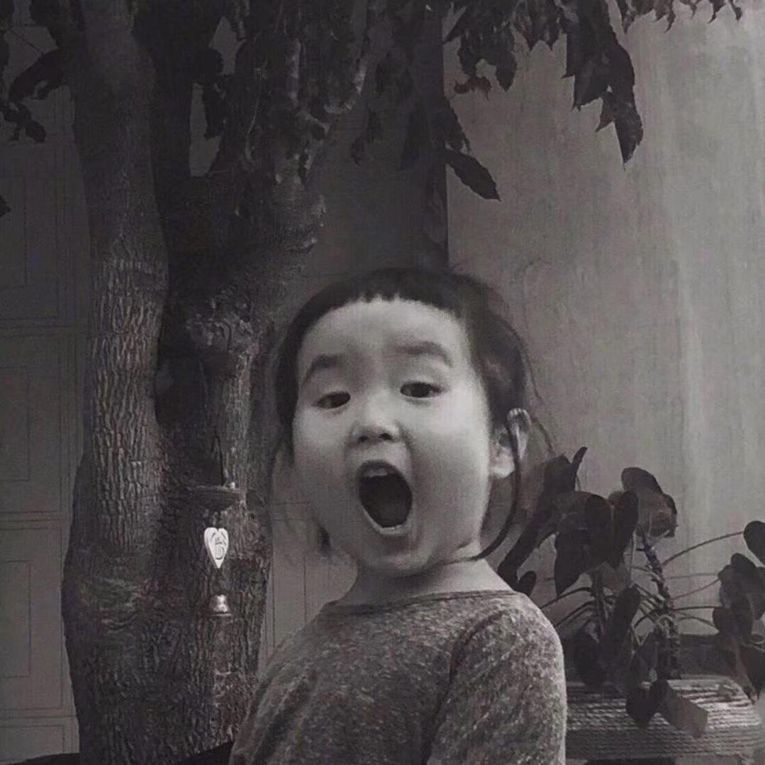 松哥的一日三餐