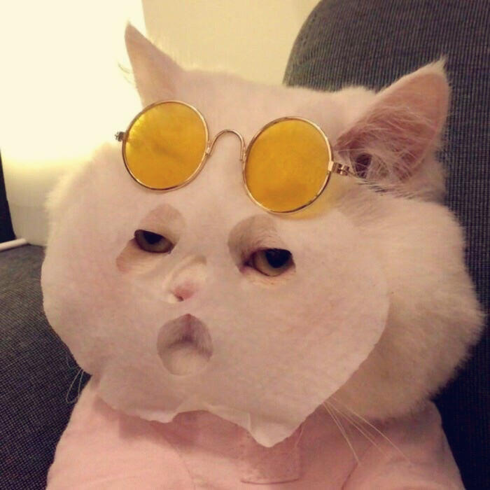 miniH