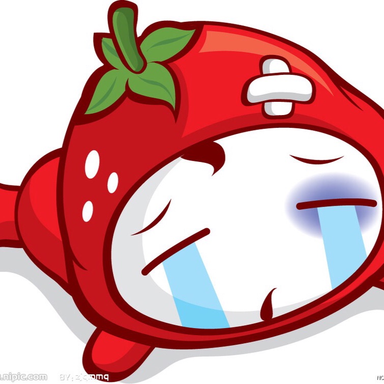 热爱厨房的邱太