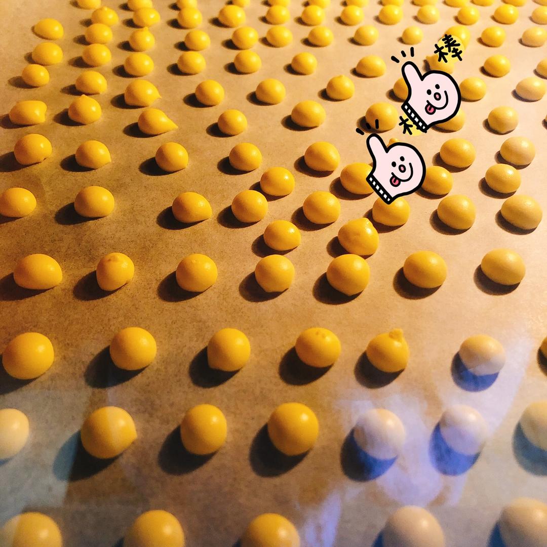 无糖溶豆 手工溶豆自制宝宝溶豆酸奶溶豆～各种水果味