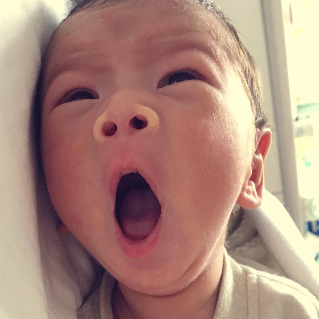 小皮今天吃什么