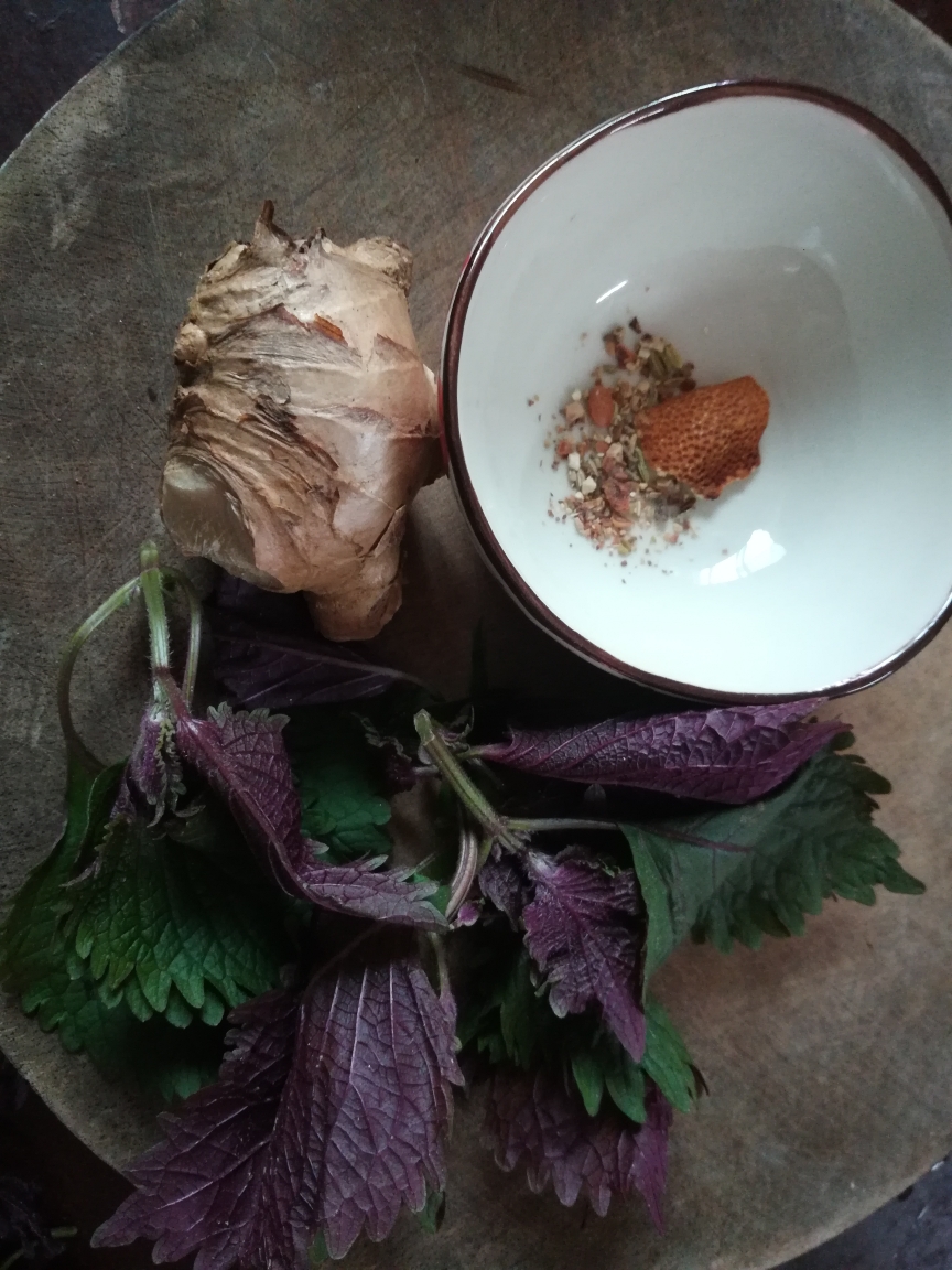 十五分钟烹饪的紫苏鸭（必光盘）的做法 步骤1
