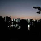 手机用户6847_gidt