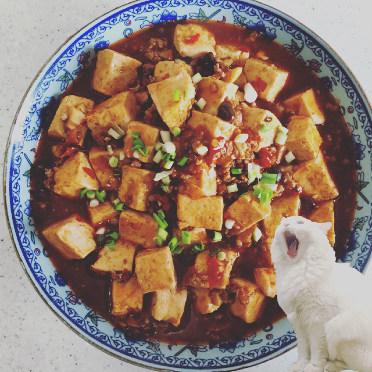 详解川菜名品麻婆豆腐