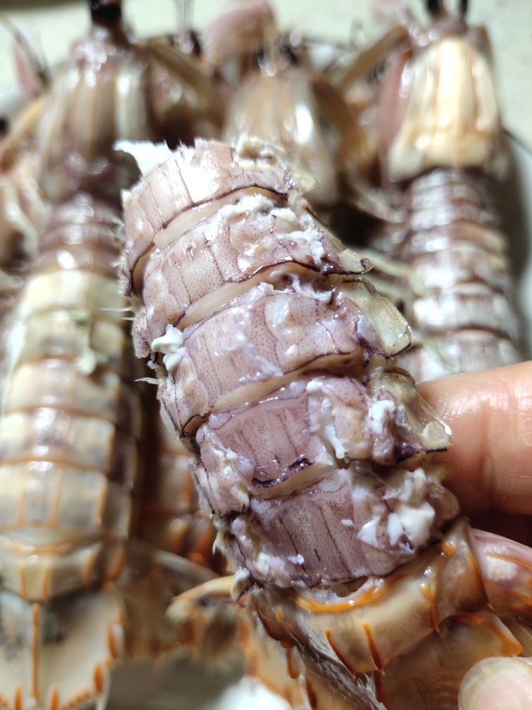 原汁原味清蒸皮皮虾（爬虾）-皮皮虾做法之一的做法
