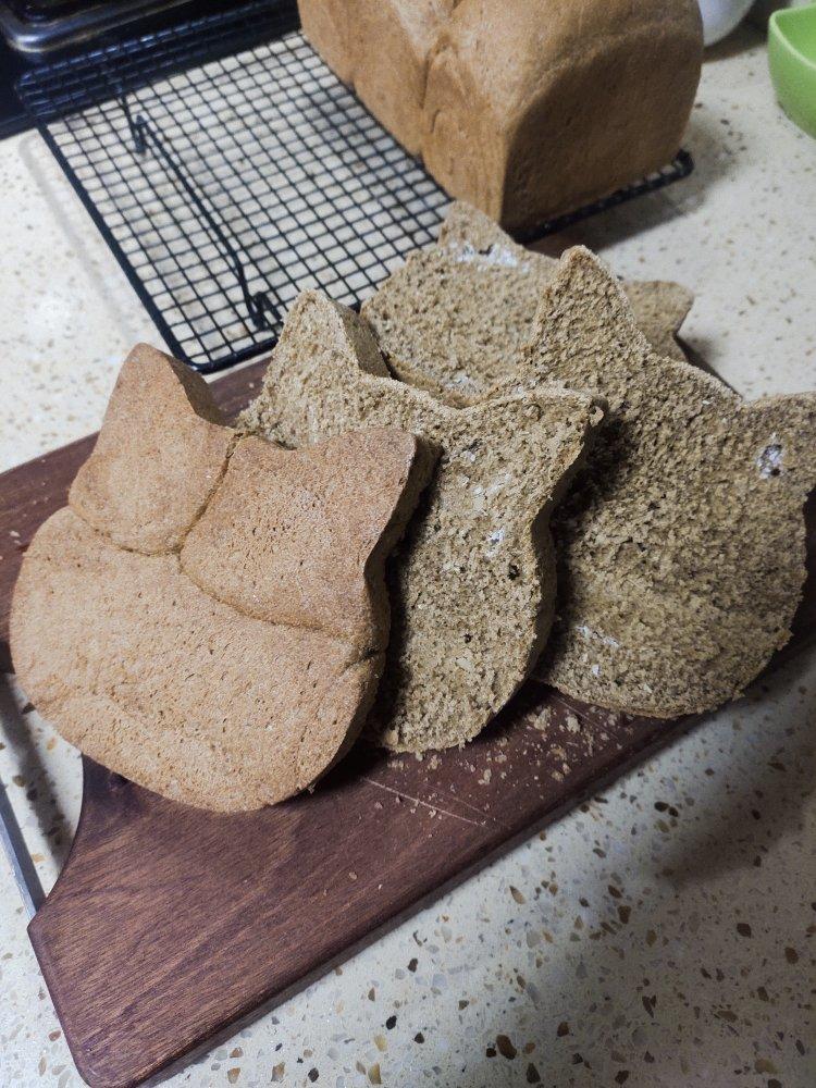 黑麦吐司 70%黑麦 波兰种