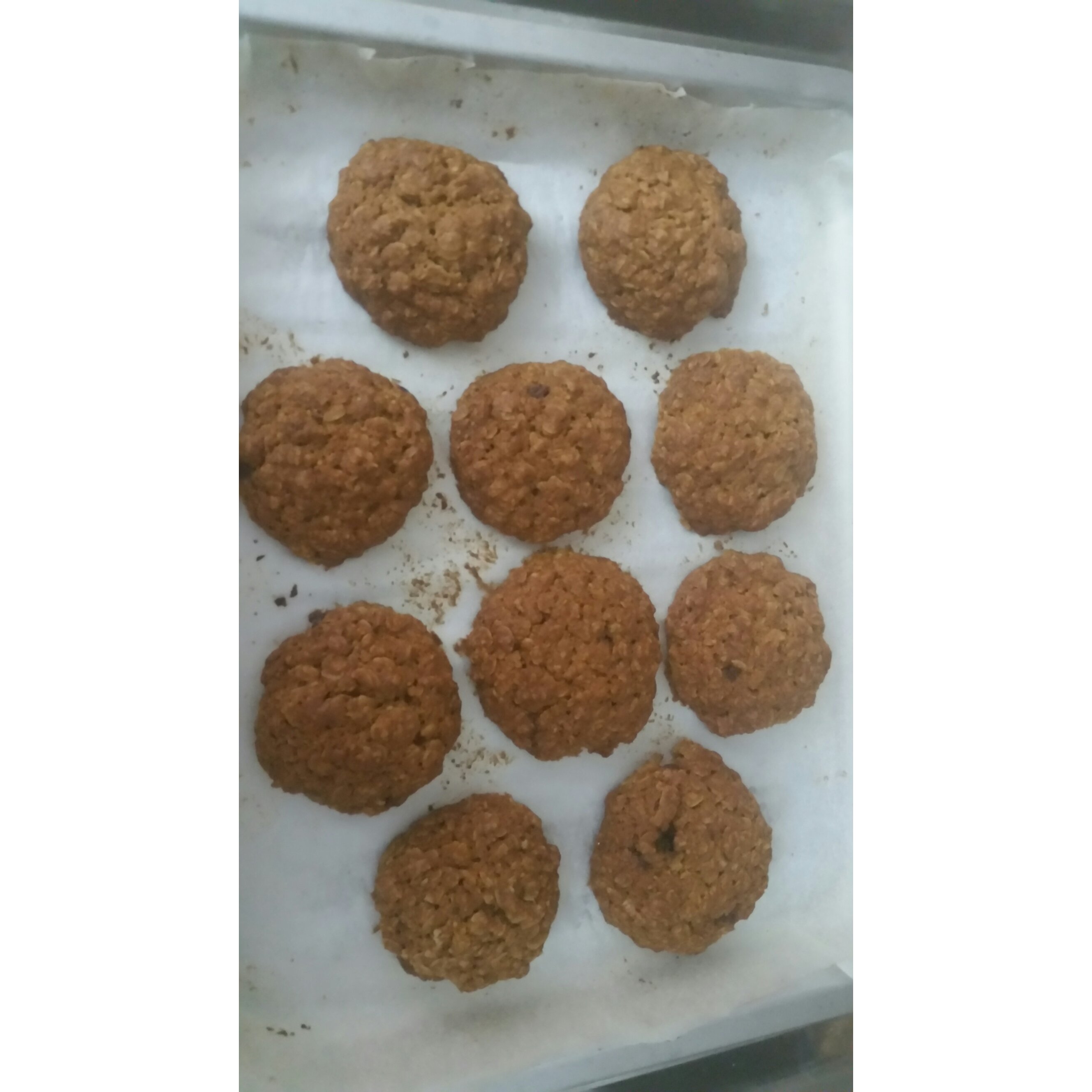 葡萄干麦片曲奇 Oats Cookies