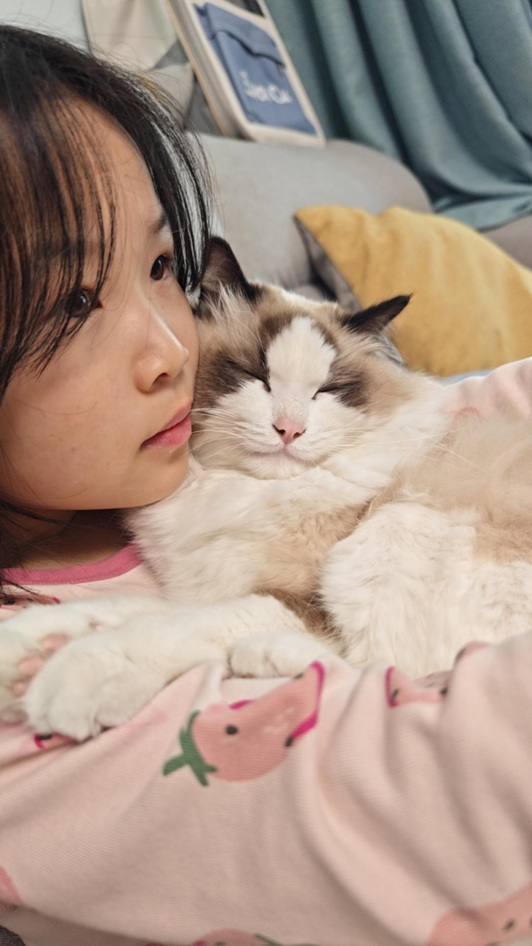 果果芝麻