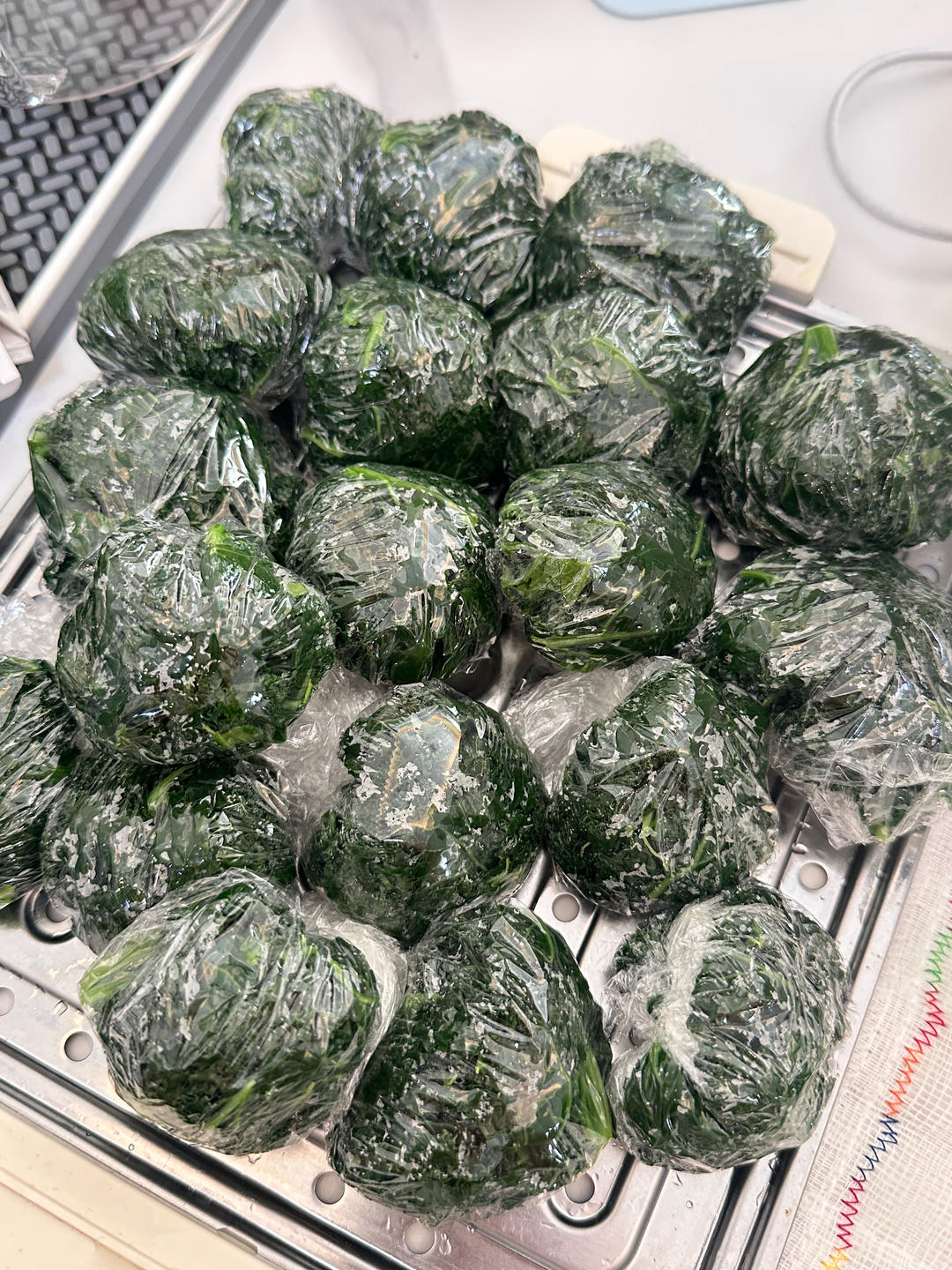 羽衣甘蓝果蔬汁-羽衣甘蓝预处理