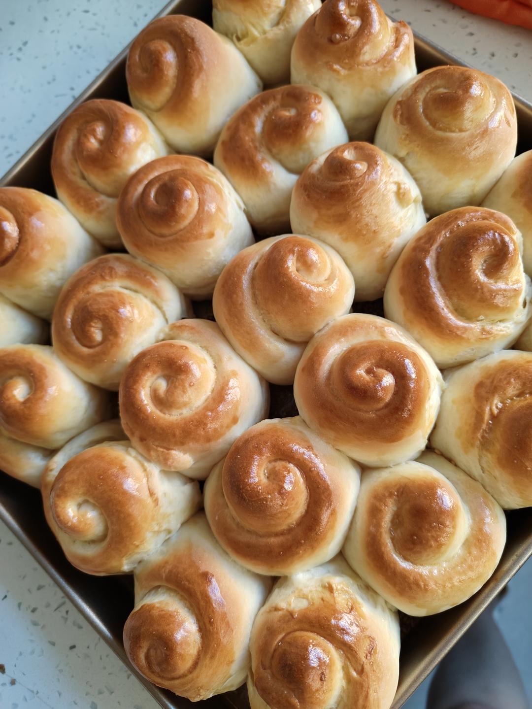 🍯蜂蜜脆底小面包🍞路边烘焙小铺的味道🏘