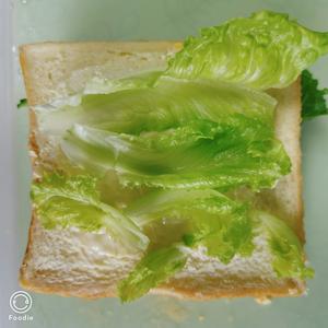 奥尔良鸡排三明治的做法 步骤6