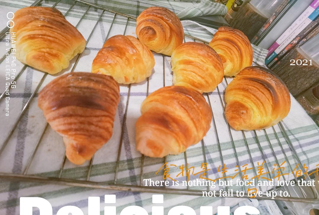 科学猜想——可颂全解密