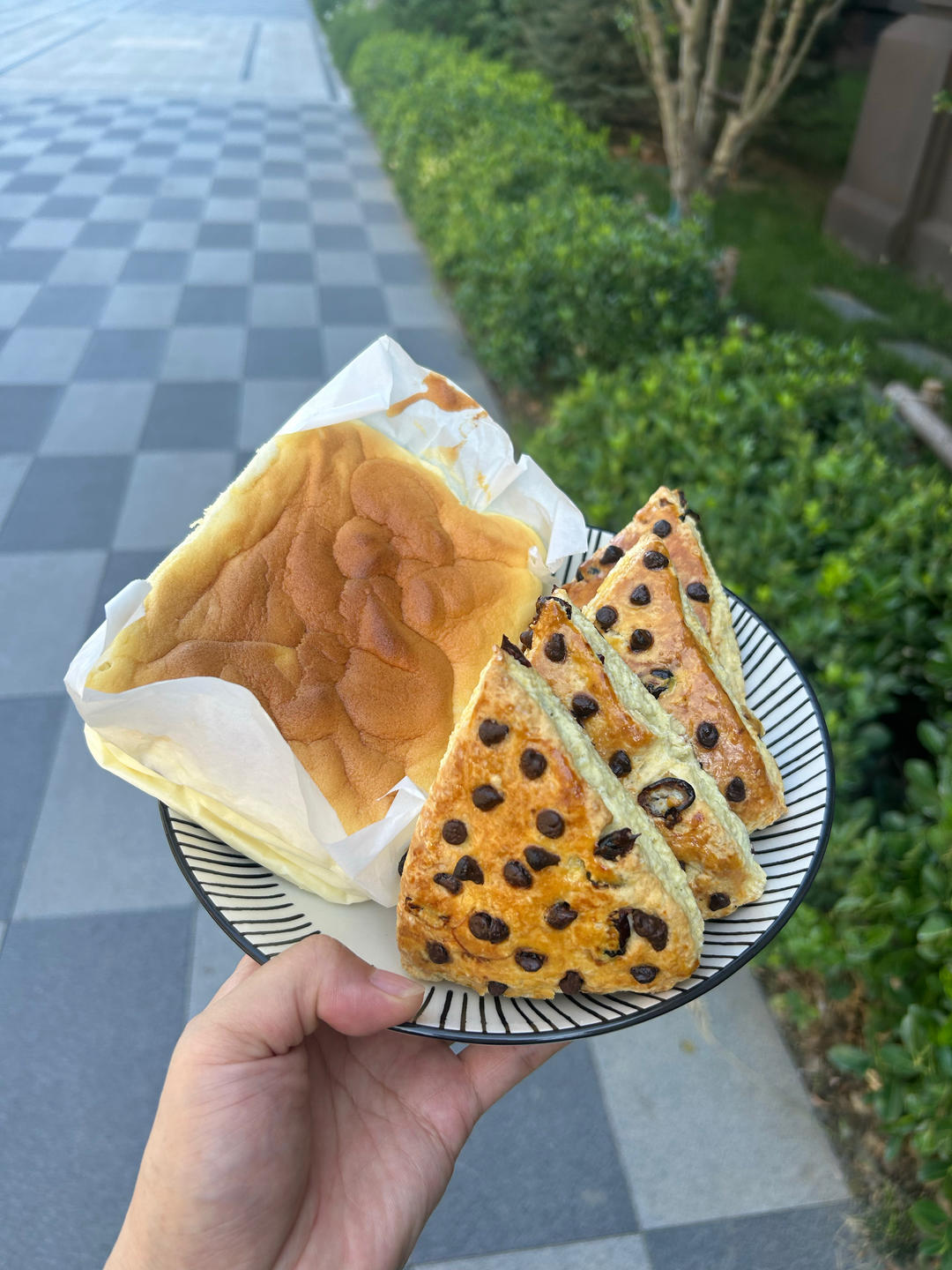蔓越莓司康