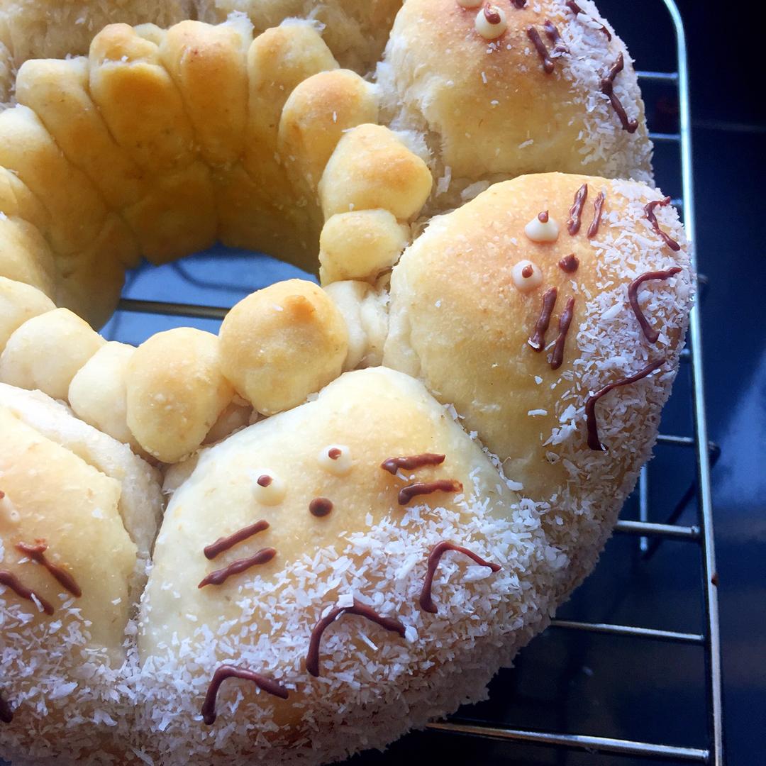 龙猫挤挤小面包