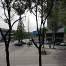 心之怡8