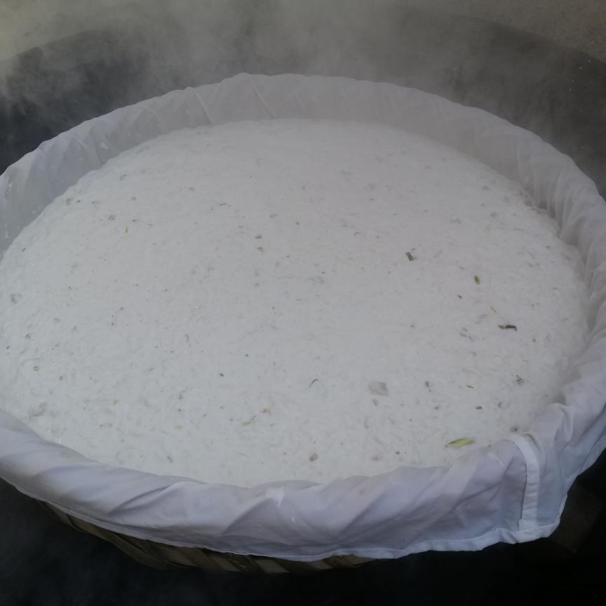 潮州饶平萝卜糕（菜板）