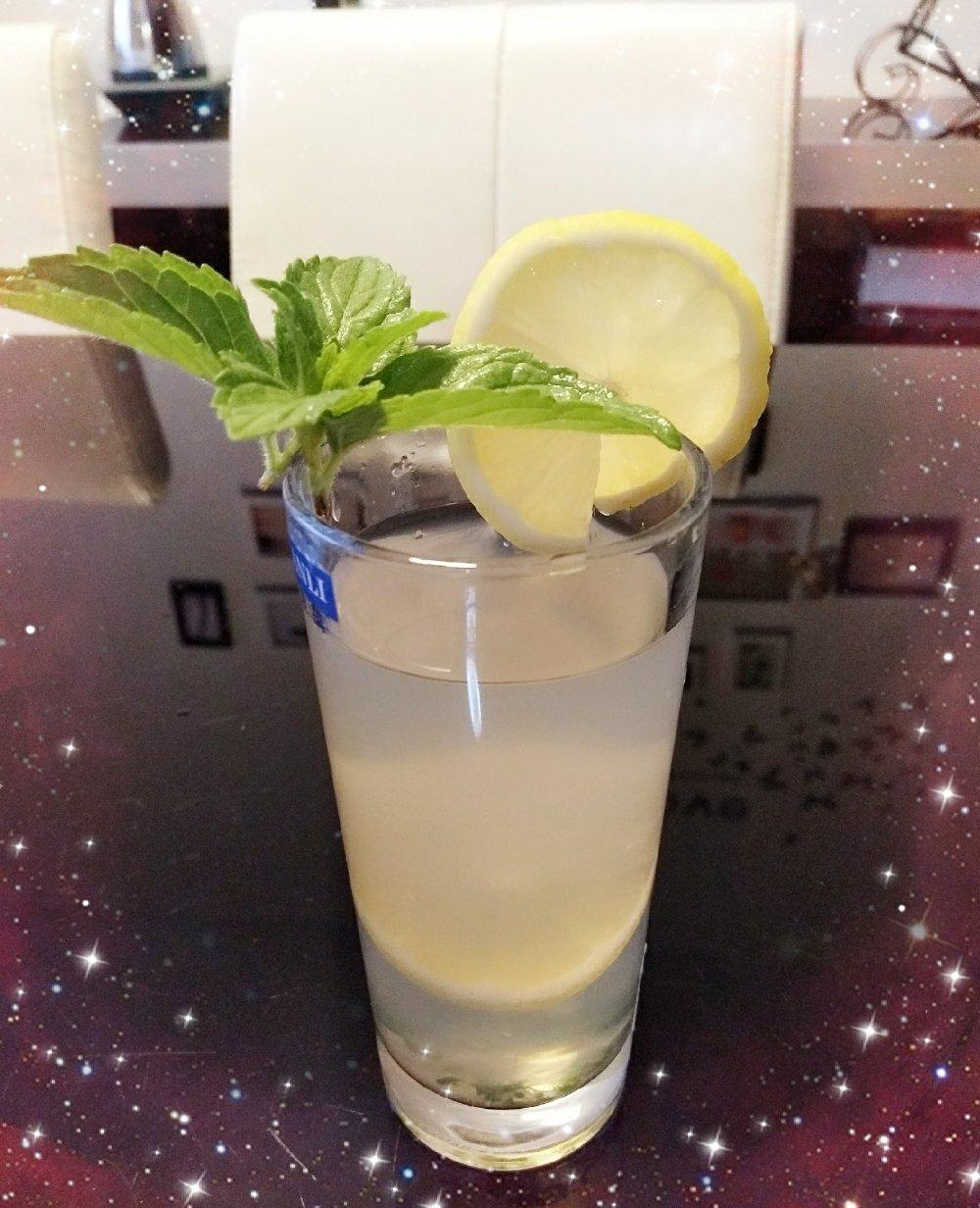 柠檬薄荷冰茶
