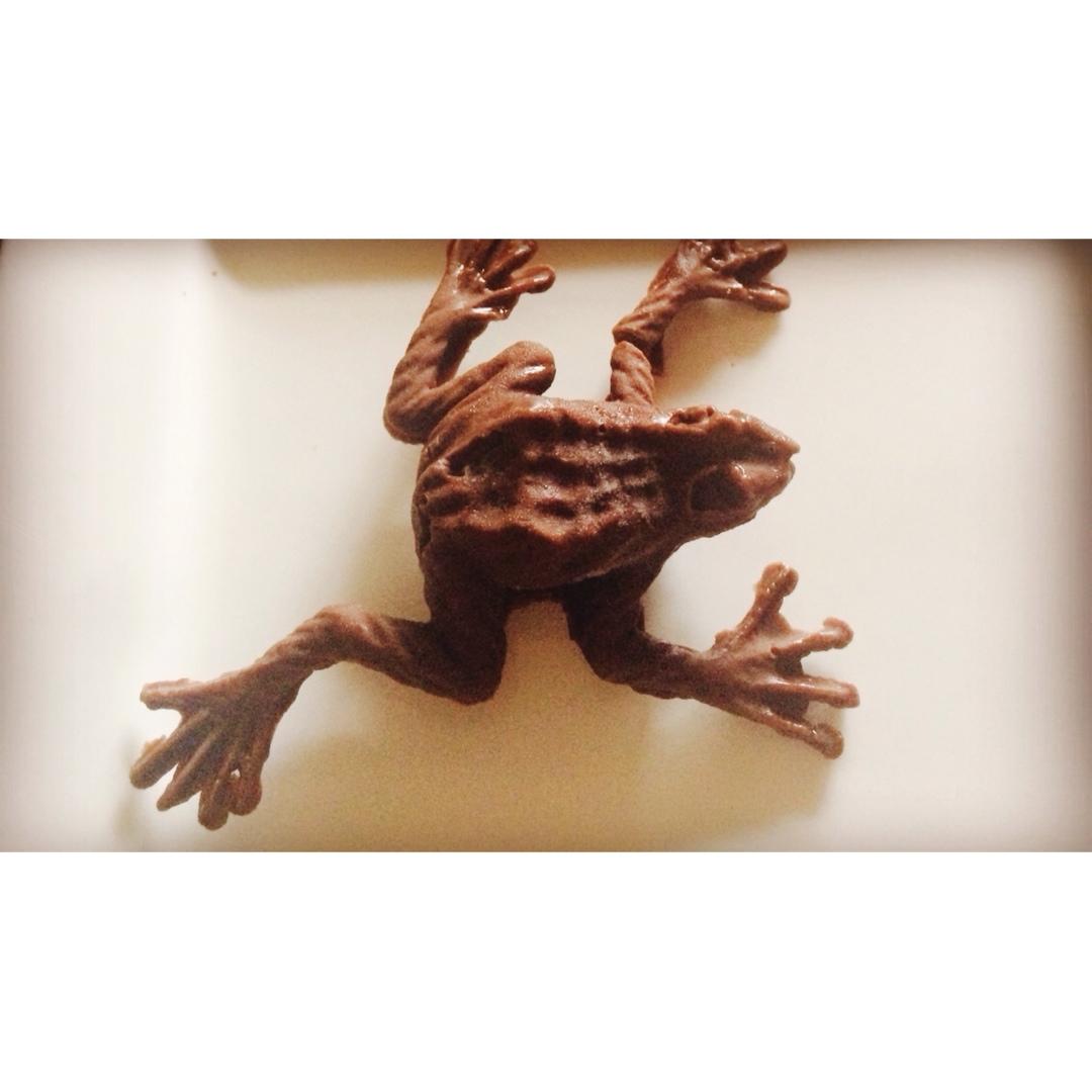 【万圣节】巧克力蛙—哈利波特魔法世界的零食